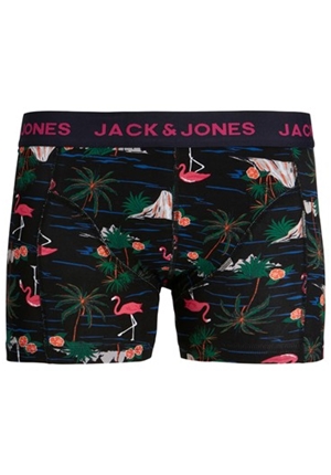 Underkläder - JJCANIMAL TRUNKS SN